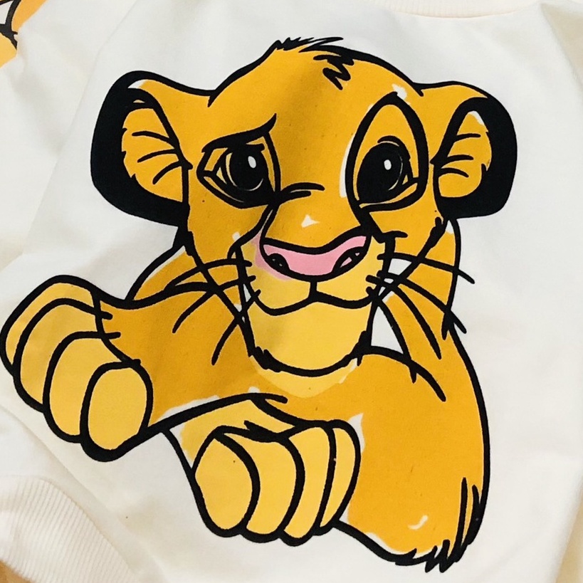 Áo dài tay thu đông bé trai - Áo nỉ Lion Zara siêu đẹp cho bé trai size 1-5t