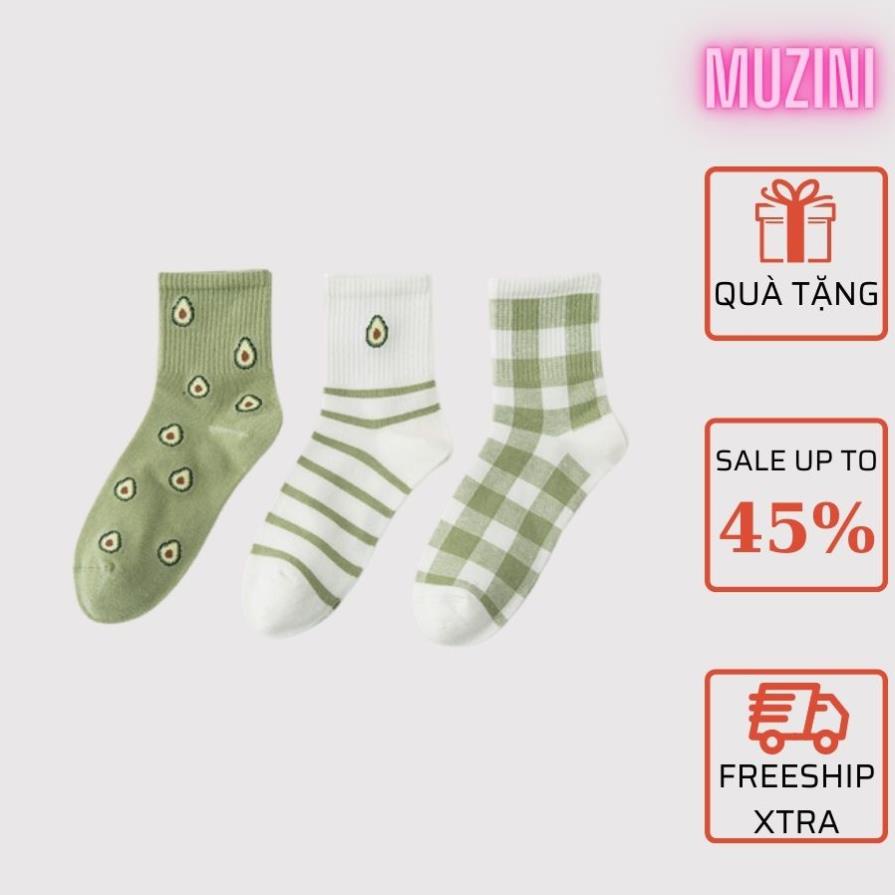 Set 3 vớ nữ cổ cao cute in hình quả bơ xanh siêu xinh tkutrang TN95