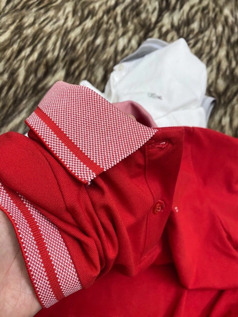 [ẢNH THẬT+VID THẬT]🔥ÁO PHÔNG NỮ POLO CỔ BẺ XUẤT DƯ 🌝 ÁO POLO NỮ XỊN | BigBuy360 - bigbuy360.vn