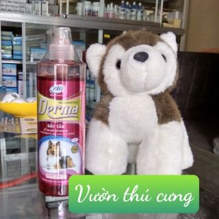 SỮA TẮM DERMA BIO 450ML - DIỆT GHẺ VÀ NẤM DA