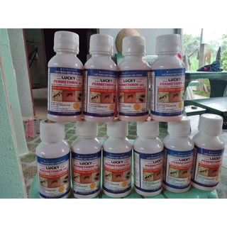 Combo 10 chai chế phẩm diệt côn trùng lucky-permethrin 50ec 100ml