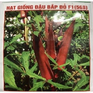 Hạt giống đậu bắp (Xanh/ đỏ) ☘️