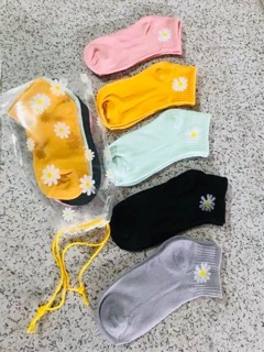 Set 10 đôi vớ hoa cúc daisy