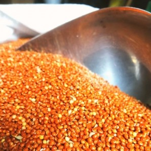 500g Hạt Kê Đỏ Bổ Dưỡng Cho Chim-Vẹt-Hamster-Rat-Đuôi Mập