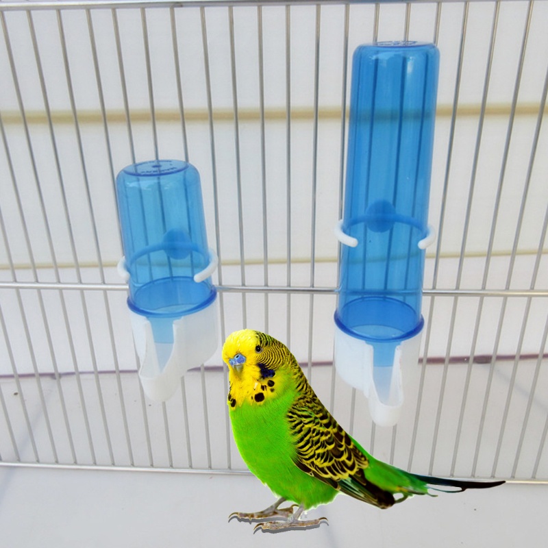 ✿ Bình Đựng Nước Parakeet Tự Động Dạng Treo Không Đổ