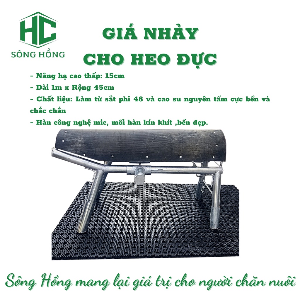 Giá Nhảy Lợn Đực Khai Thác Tinh - Giá Nhảy Khai Thác Tinh Heo Có Thể Điều Chỉnh Độ Cao