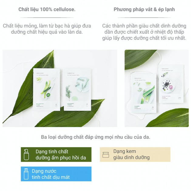 [Mã COSIF05 giảm 10% đơn 400K] Bộ dưỡng ẩm và bảo vệ da trà xanh Innisfree Green Tea Seed Cream Set