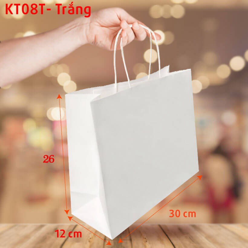 10 Túi giấy trắng trơn KT08T-trắng