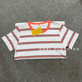 Áo thun sọc xuất dư