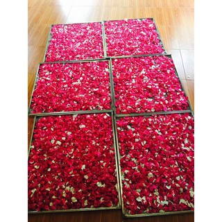 Cánh hoa hồng sấy Karose Sip