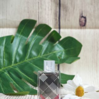 Nước Hoa Mini Nữ Burberry Brit For Her EDP 5ml