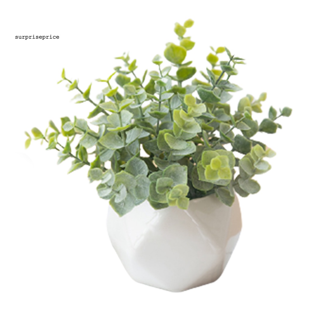 Chậu Cây Bonsai Giả Bằng Nhựa Cao Cấp Đa Năng Trang Trí Nhà Cửa