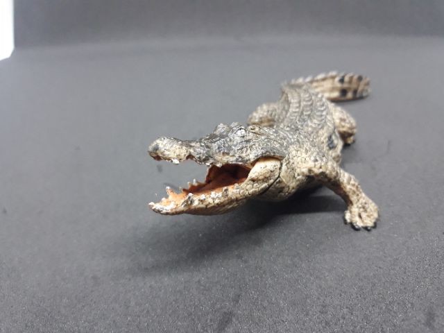 Mô hình đồ chơi khủng long. Cá sấu hoa cà.