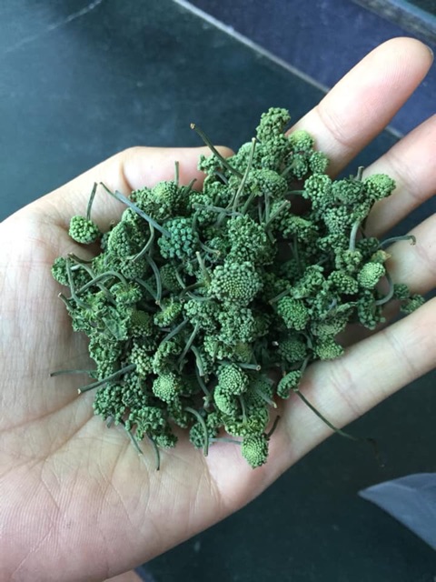Nụ Tam Thất 500g