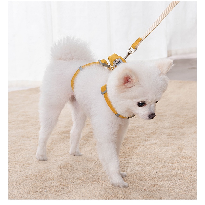 Dây Dắt Thú Cưng Đi Dạo Tiện Dụng
