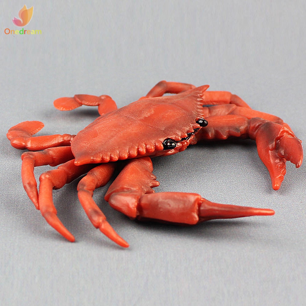 Đồ Chơi Mô Hình Con Cua Sống Động Cho Bé