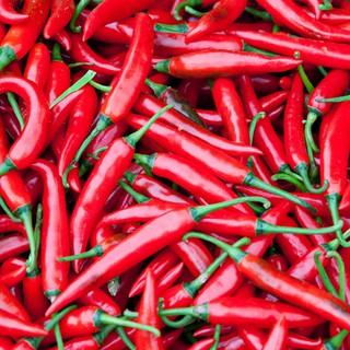 20 HẠT GIỐNG ỚT HIỂM
