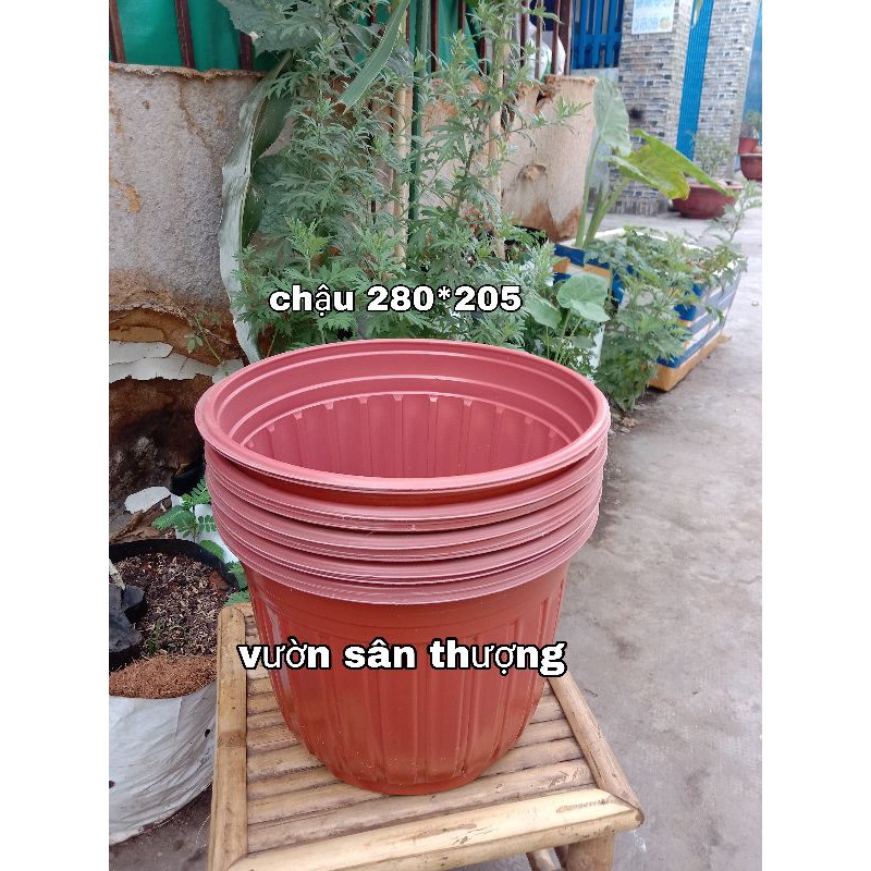 Set 5 Chậu Trồng Cây 280*205 Chuyên Trồng Hoa, Rau..