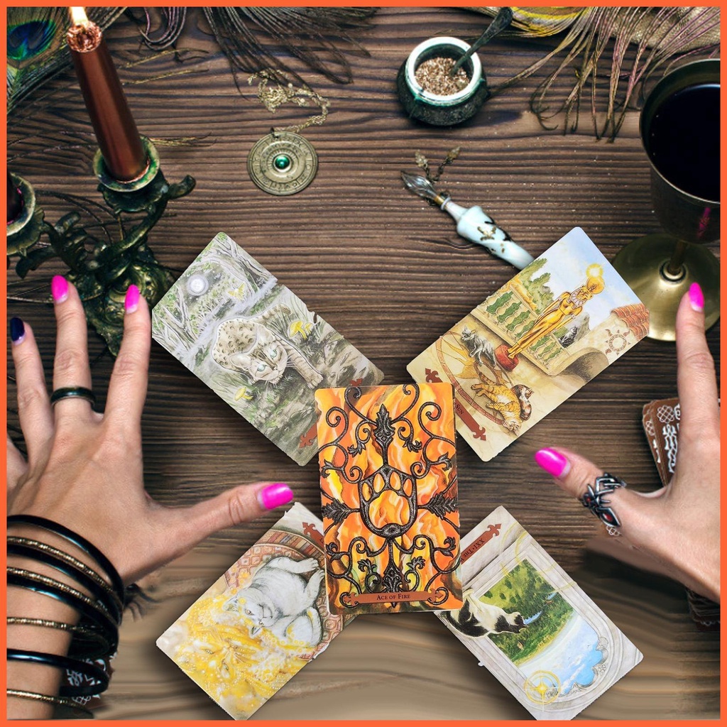 Bộ Bài Tarot Phiên Bản Tiếng Anh Hình Mèo Và Hoa Màu Sắc Ngôn Ngữ Oracle Sử Dụng Trong Gia Đình chunvn