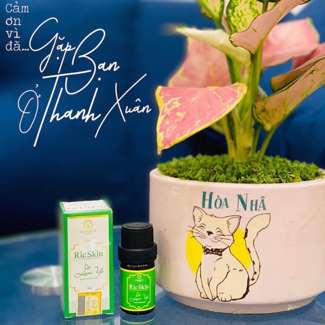 NƯỚC HOA VÙNG KÍN RIC SKIN LOVE UP KOHINOOR CHÍNH HÃNG
