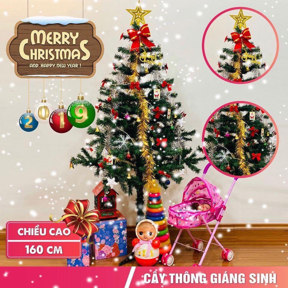 Combo CÂY THÔNG NOEL cao 1m6 và phụ kiện 96 ĐỒ TRANG TRÍ