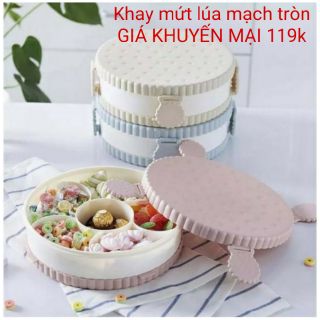 KHAY MỨT HÌNH CÁNH HOA VÀ KHAY MỨT LÚA MẠCH TRÒN