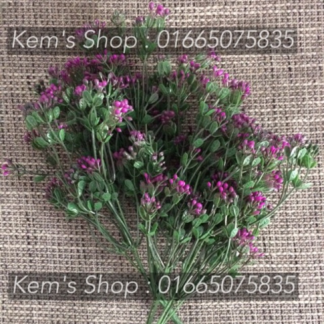 Cành điểm nhựa