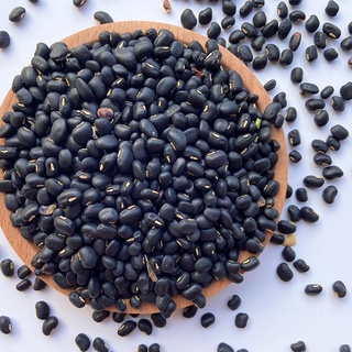 Đậu Đen Xanh Lòng 500gr Thuần Chủng Đăk Lăk | Không Chất Bảo Quản | An's Green Farm