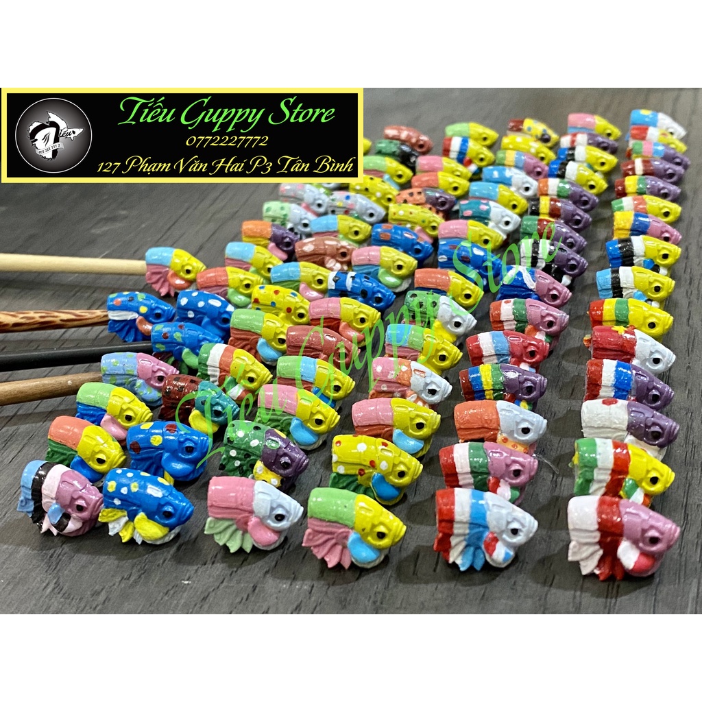 Cây Kè Cá Betta Nhiều Màu Sắc (Mẫu chọn ngẫu nhiên)