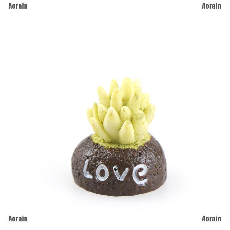 Bộ 4 Khu Vườn mini