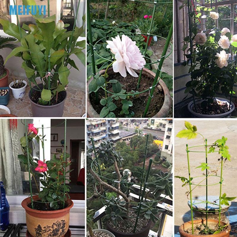 Khung Hỗ Trợ Trồng Cây Dây Leo 45cm 439v