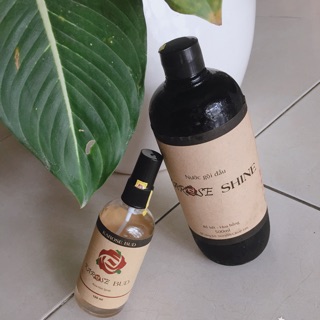 Combo: nước gội đầu Karose Shine và xịt dưỡng tóc Karose Bud