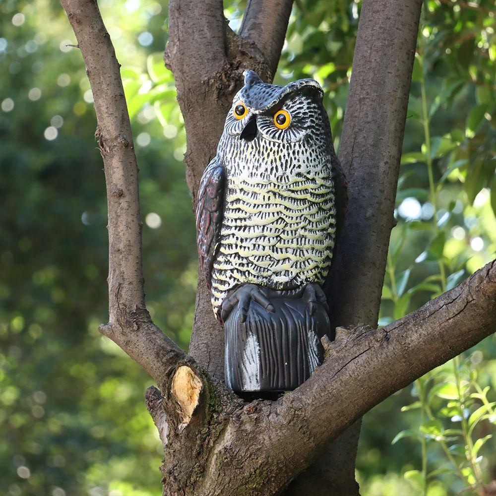 Cú Mèo Giải Trí Sống Động Như Thật Đuổi Chim Kiểm Soát Côn Trùng