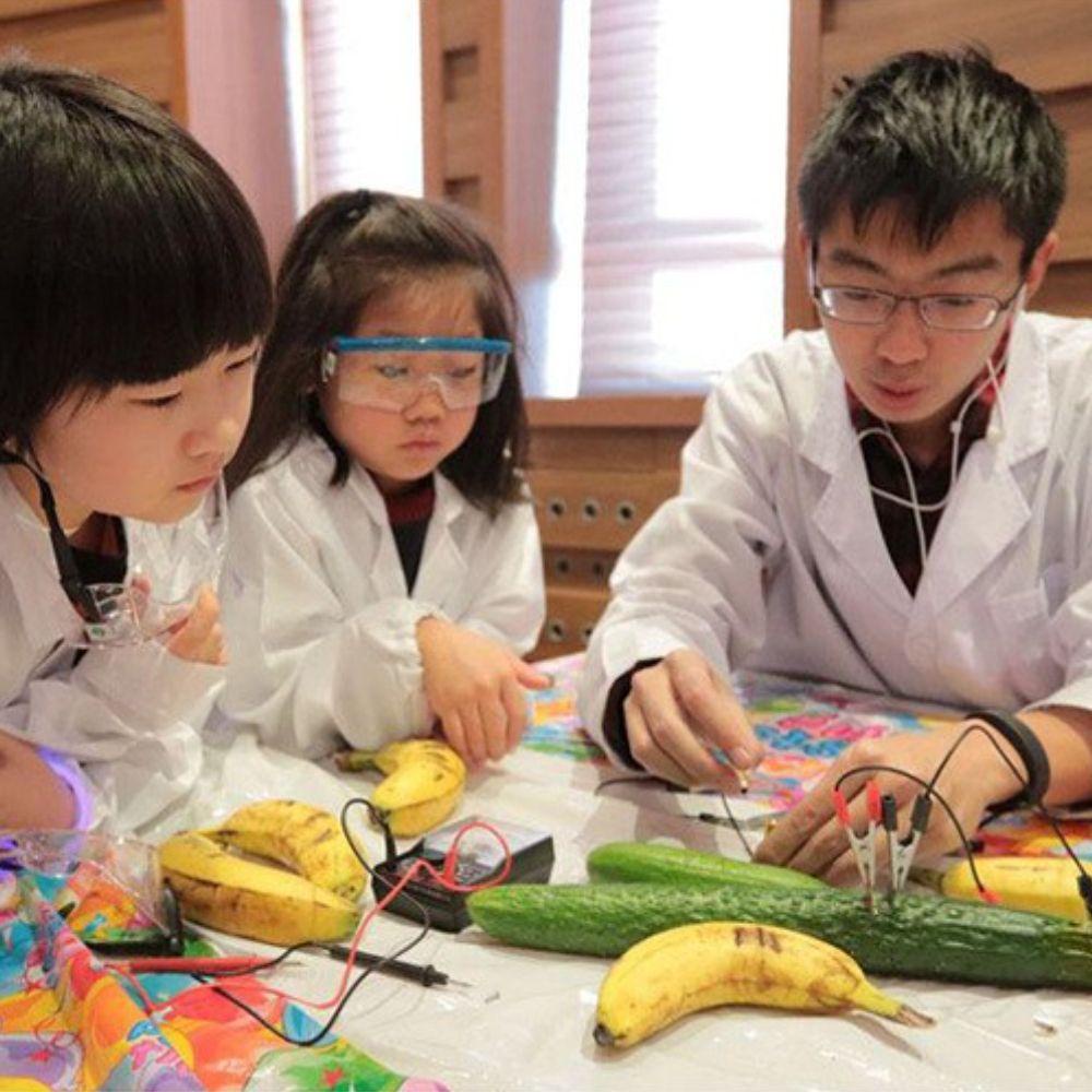 Lanfy Bộ Dụng Cụ Thí Nghiệm Khoa Học Biologia Khoa Học Vật Lý Năng Lượng