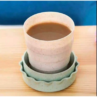 Cốc rút gọn lúa mạch