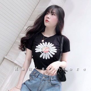Áo croptop in hoa cúc laca store l20-5