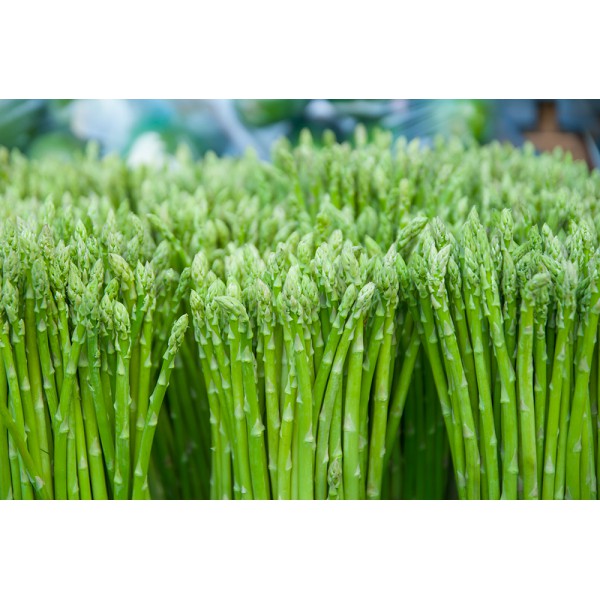 Gói 50 hạt giống măng tây California Mỹ - US.S. ASPARAGUS