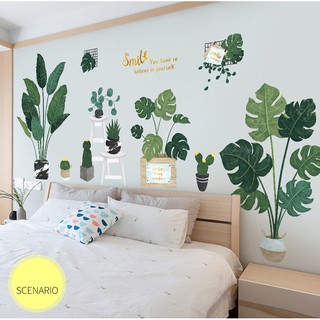 Decal dán tường Combo chậu cây size to