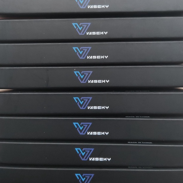 Ổ cứng SSD Vaseky V800 120gb sata | BigBuy360 - bigbuy360.vn