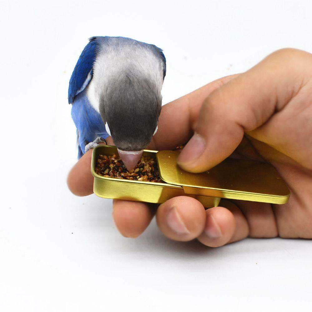 Hộp Sắt Mini Đựng Thức Ăn Huấn Luyện IQ Cho Chim Cảnh