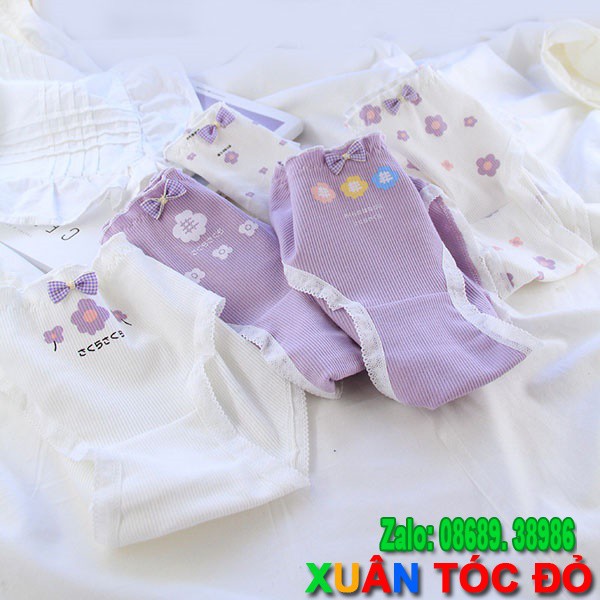  SỈ ZALO RẺ HƠN NHIỀU_ Quần Lót 5 Kiểu Hoa Đào Trắng Tím Cực Đẹp 5108 | BigBuy360 - bigbuy360.vn