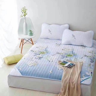 Chiếu điều hòa trải giường 160 cm
