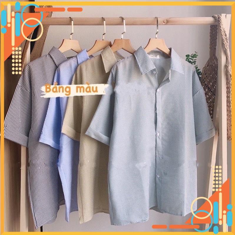 Áo sơ mi kẻ sọc cộc tay cổ đức - Áo sơ mi nữ kẻ
