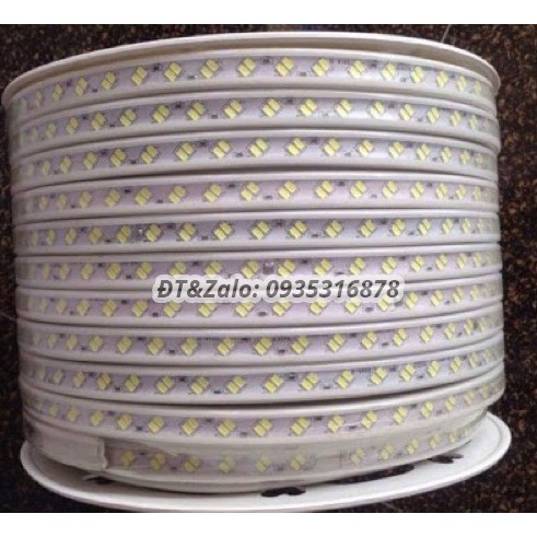 Đèn Led dây đôi chống nước ống nhựa 220V (bán theo m) 10m trở lên Tặng Nguồn - Đèn Led quấn cây dây đôi 2835