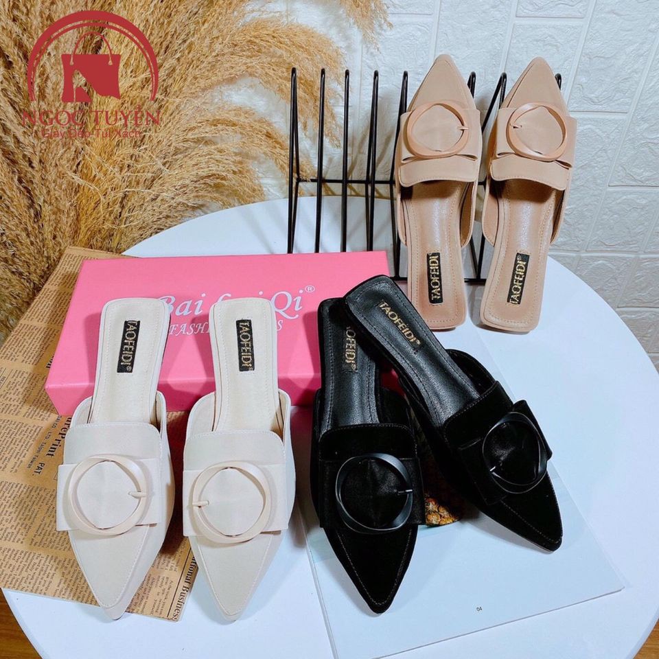 DÉP GUỐC SỤC TAOFEIDI