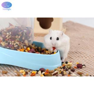 Hộp Đựng Thức Ăn Tự Động Cho Chuột Hamster