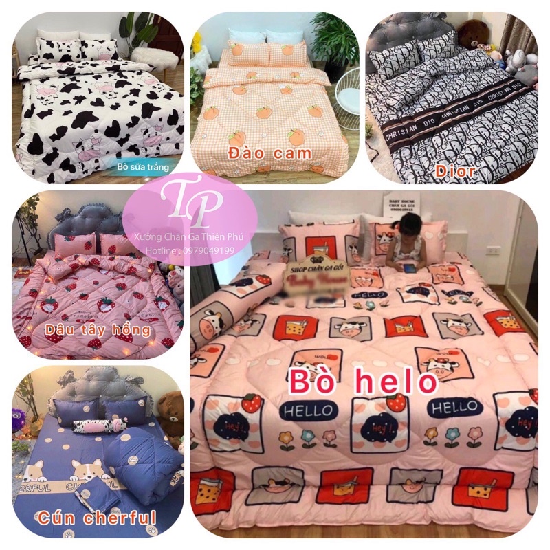 Chăn Phao Trần Bông Cotton Poly Dầy Dặn Nặng 2kg