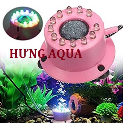 ĐÈN LED MINI TÍCH HỢP ĐÁ SỦI OXY TRANG TRÍ BỂ CÁ, ĐÁ SỦI OXY CÓ ĐÈN BỂ CÁ CẢNH