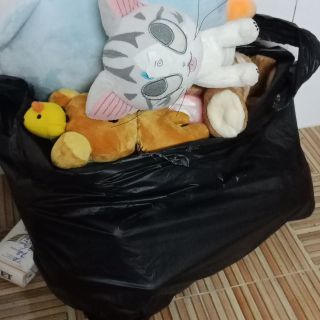 Gấu của chị tiểu thư