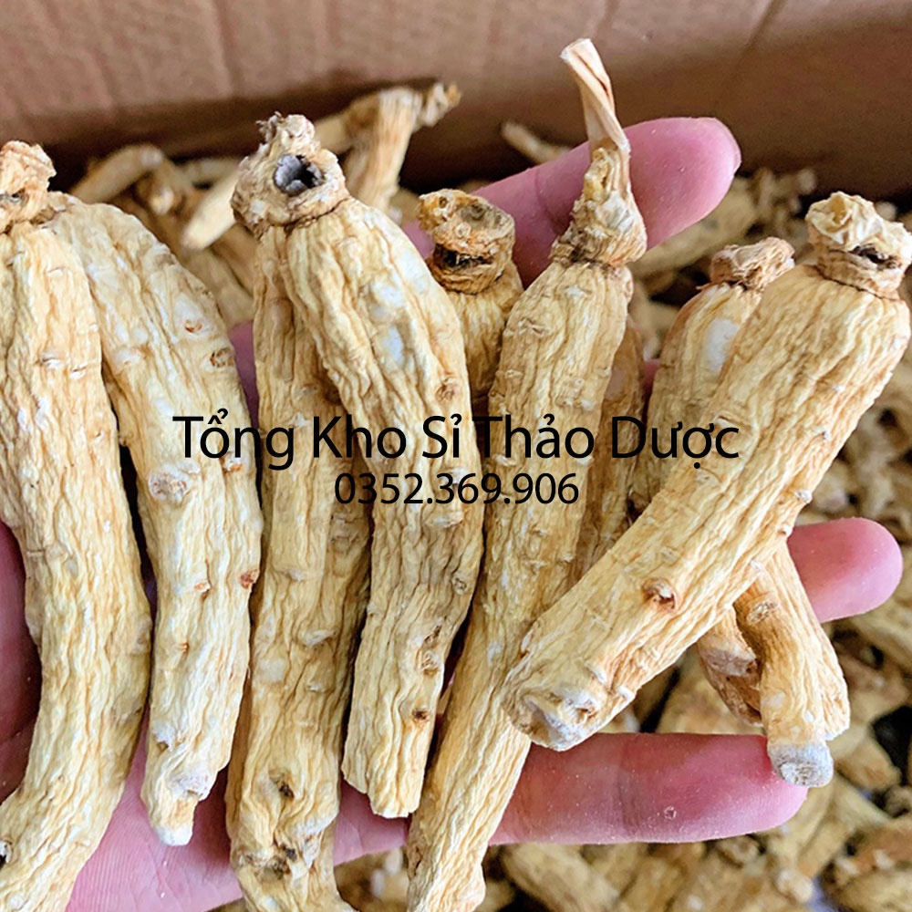 Bạch sâm Hàn Quốc 100g (nhân sâm,bồi bổ sức khỏe, giúp da trắng sáng)
